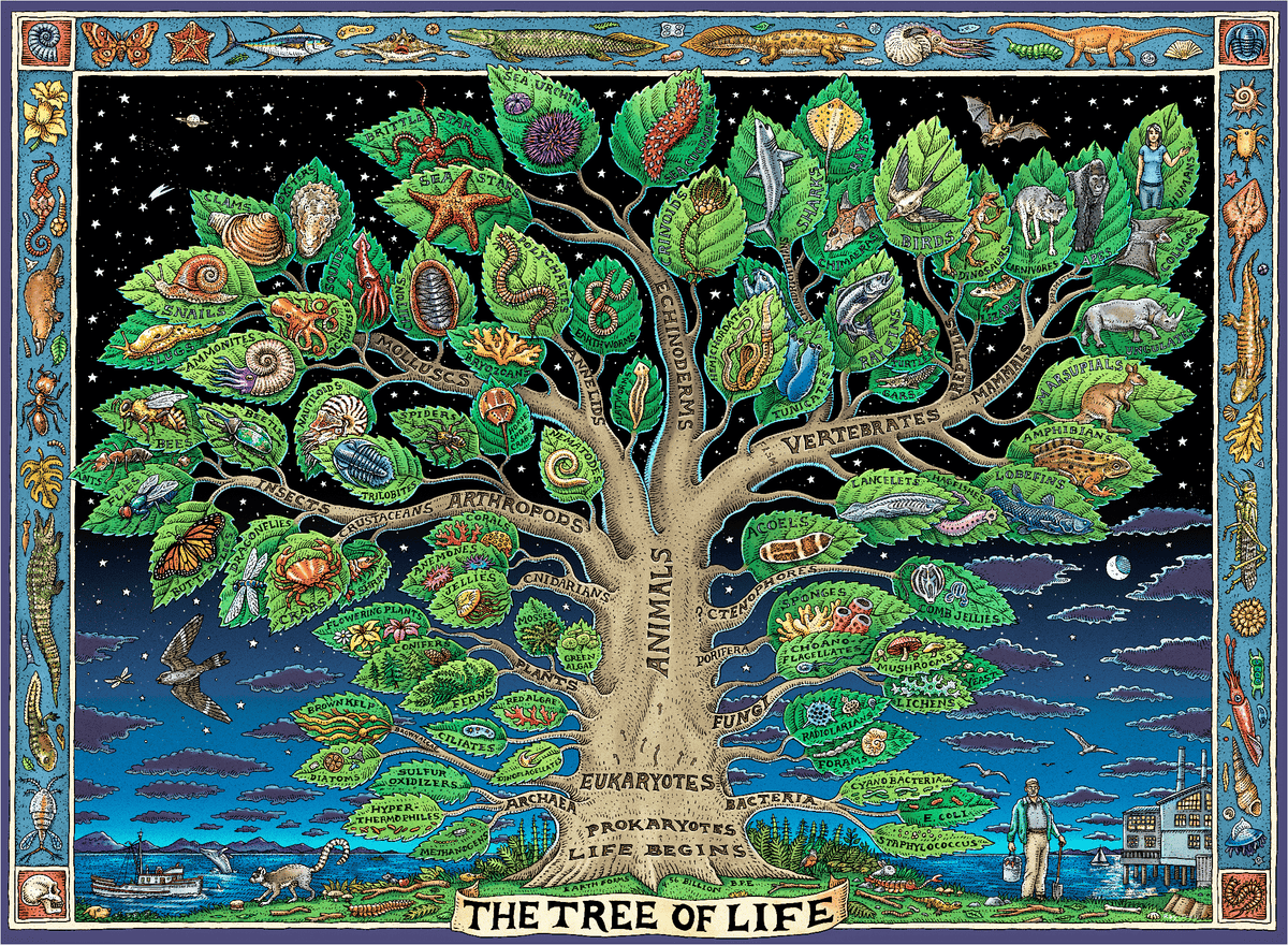 Ray Troll - Nautilus Puzzles - Wooden Jigsaw Puzzles For Adults