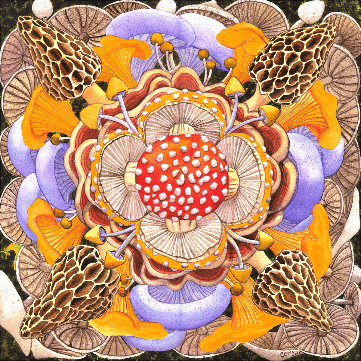 Catherine G. McElroy - Nautilus Puzzles - Wooden Jigsaw Puzzles For Adults