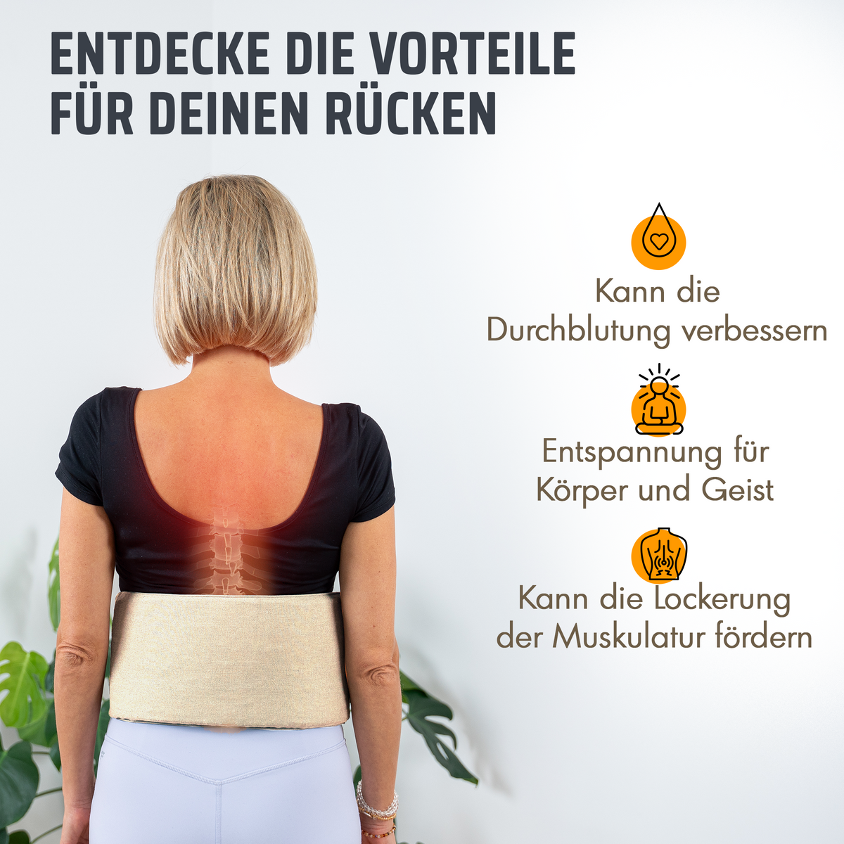 Akupressur-Allround-Set mit gratis Lendengürtel & Übungen - Grau - Recovery & Akupressur von NEOLYMP | Fitnessequipment und Sportartikel