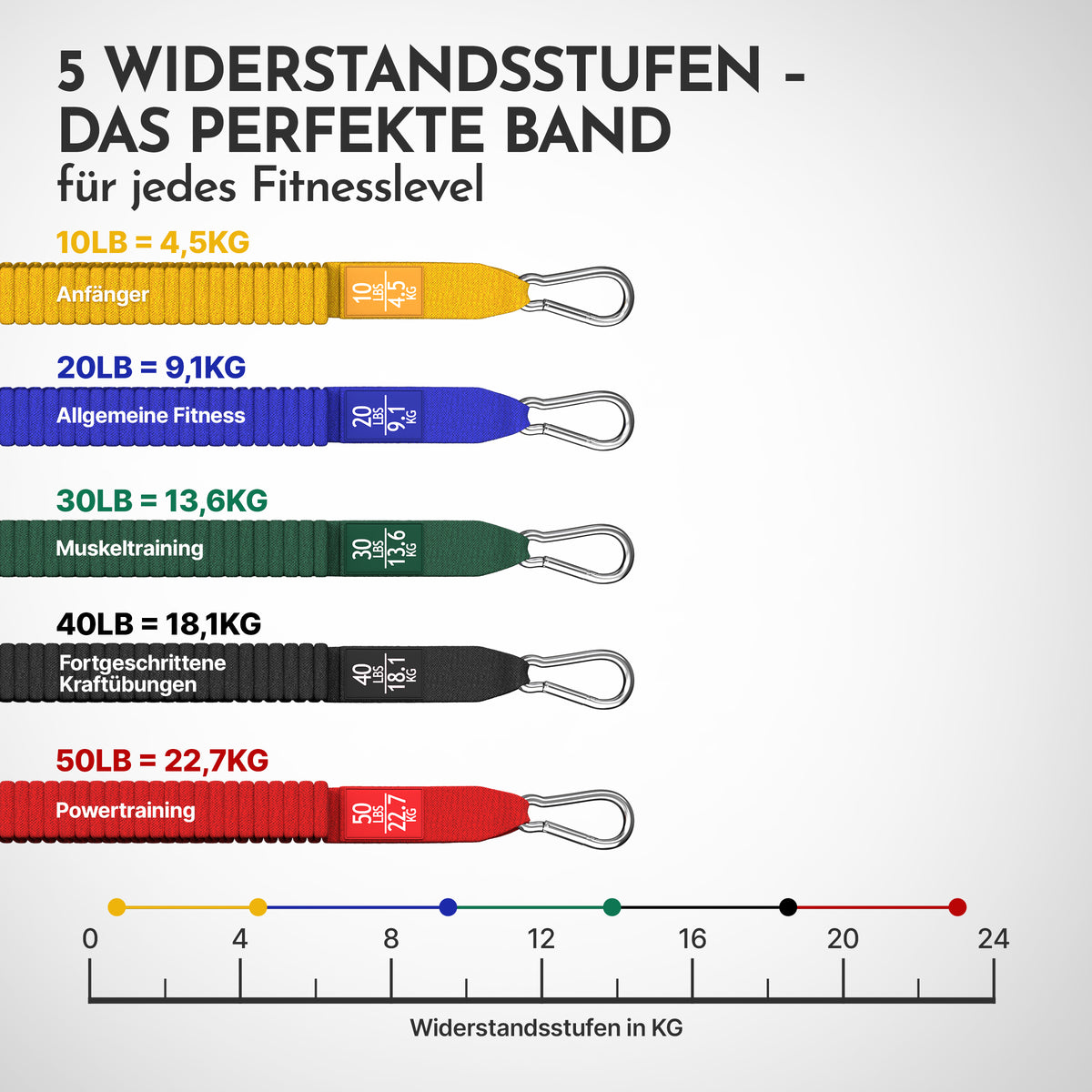 Tube Bands Set inkl. Zubehör – Default Title (B‑Ware) - - Outlet von NEOLYMP | Fitnessequipment und Sportartikel