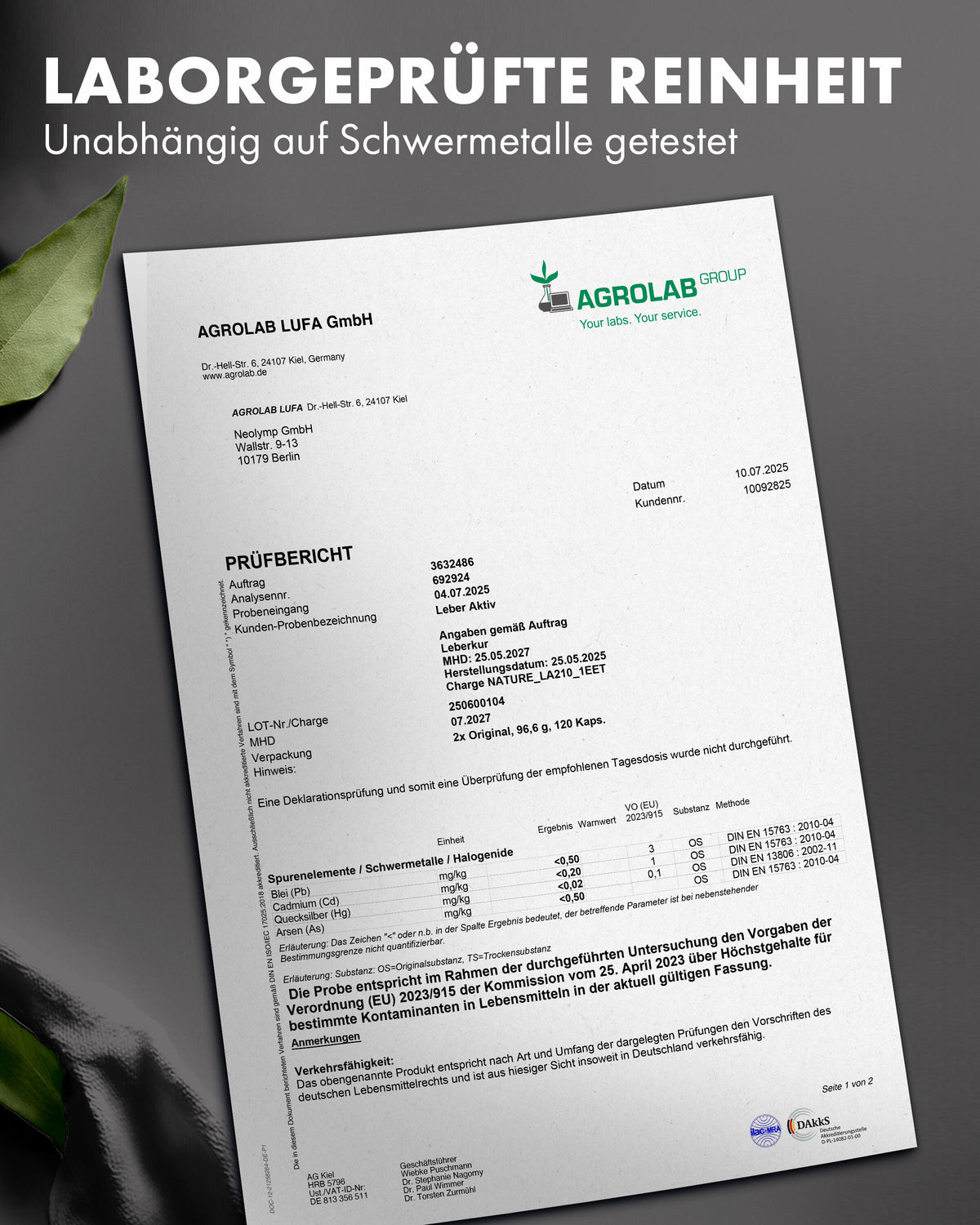 Nature Elegance - Leber Aktiv (Mariendistel Artischocke Löwenzahn Komplex) (2er Pack (240 Stück)) - - Nahrungsergänzungsmittel von NEOLYMP | Fitnessequipment und Sportartikel