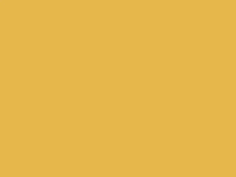 Solid mustard yellow background