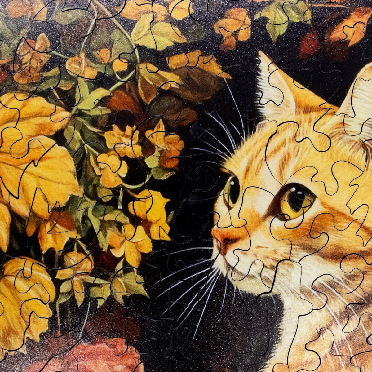 Marmalade Cat (251 Piece Cat Wooden Jigsaw Puzzle) - Nautilus Puzzles - Wooden Jigsaw Puzzles For Adults