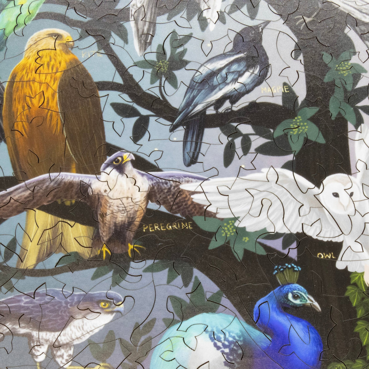The Parliament of Fowls (511 Piece Wooden Jigsaw Puzzle) - Nautilus Puzzles - Wooden Jigsaw Puzzles For Adults