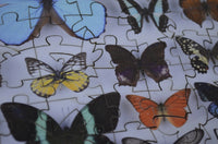 Butterfly Collection (77 Pieces) Mini Wooden Photo Puzzle - Nautilus Puzzles - Wooden Jigsaw Puzzles For Adults