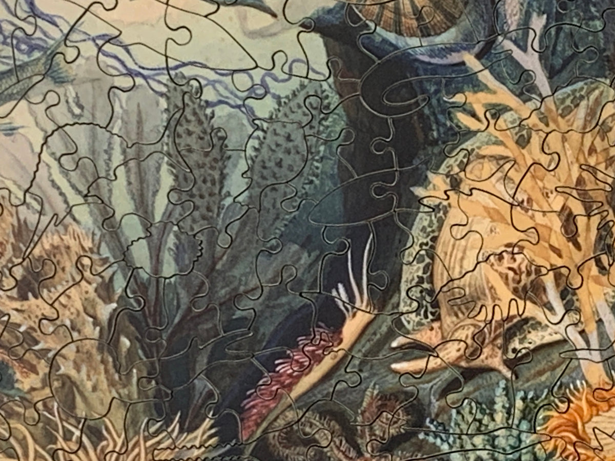 Ocean Life by James M. Sommerville (475 Piece Ocean Wooden Jigsaw Puzzle) - Nautilus Puzzles - Wooden Jigsaw Puzzles For Adults