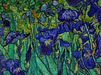 Irises Vincent Van Gogh