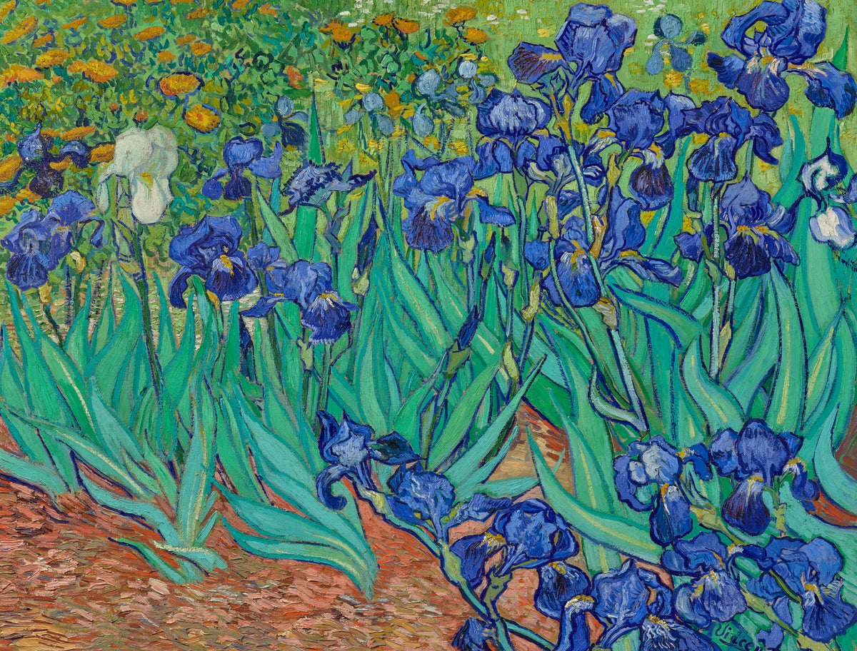 Van Gogh Irises