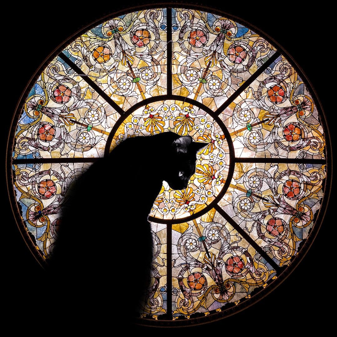 Cathedral Cat - 372 Piece Wooden Jigsaw Puzzle - Nautilus Puzzles - Wooden Jigsaw Puzzles For Adults