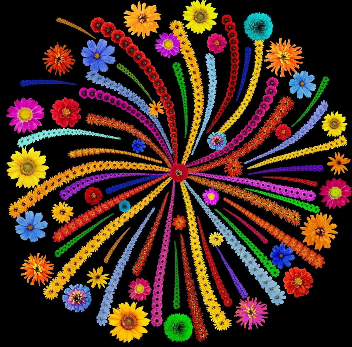 Flower Fireworks (50 Piece Mini Wooden Jigsaw Puzzle) - Nautilus Puzzles - Wooden Jigsaw Puzzles For Adults