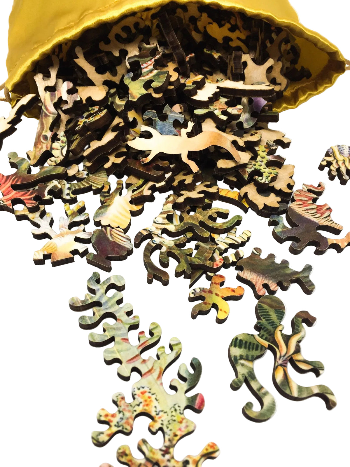 Sea Anemones by Ernst Haeckel - 288 Piece Wooden Jigsaw Puzzle - Nautilus Puzzles - Wooden Jigsaw Puzzles For Adults