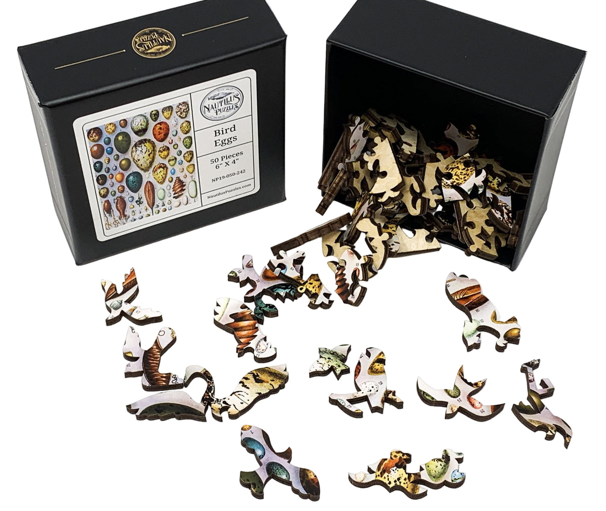 Bird Eggs (50 Piece Mini Wooden Jigsaw Puzzle) - Nautilus Puzzles - Wooden Jigsaw Puzzles For Adults