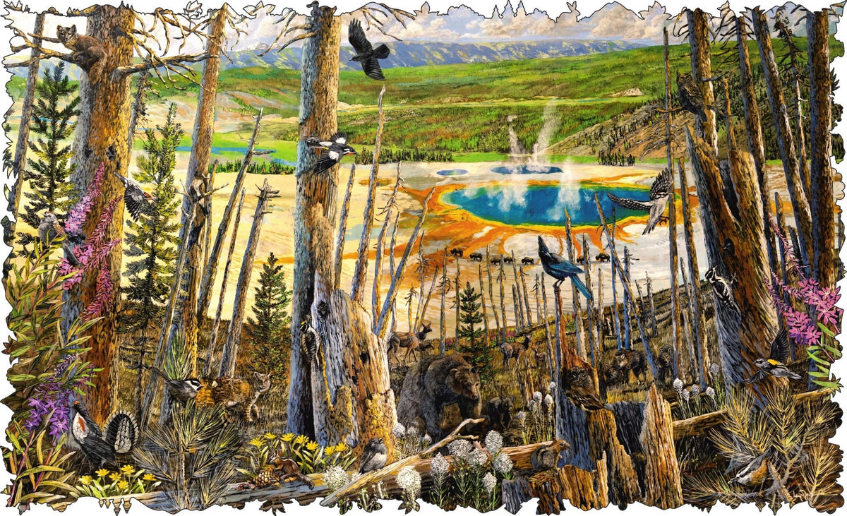 Yellowstone National Park (601 Piece Wooden Jigsaw Puzzle) - Nautilus Puzzles - Wooden Jigsaw Puzzles For Adults
